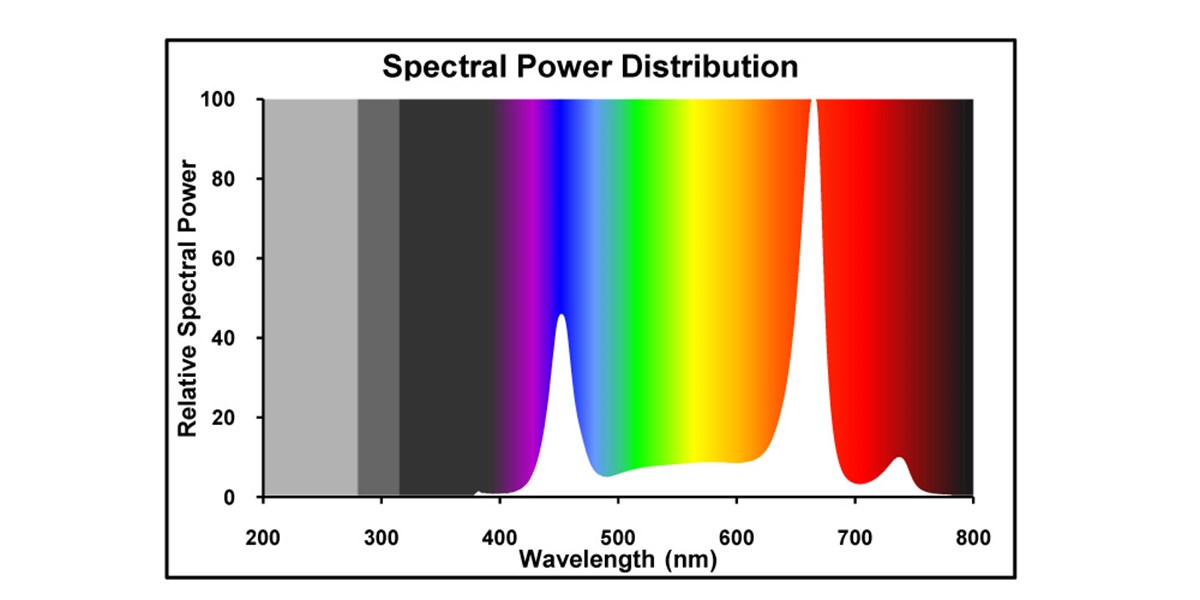 Groxpress Toplight LED Spectrum2