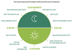 luminature melatonin circadiany