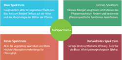 Fullspektrum+ Horticulture